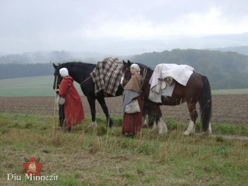 Die beiden Pferde mit ihren Fhrerinnen